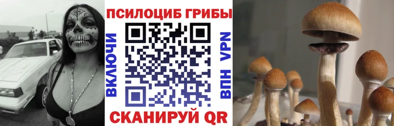 это состав  Соль-Илецк  Псилоцибиновые грибы мухоморы 