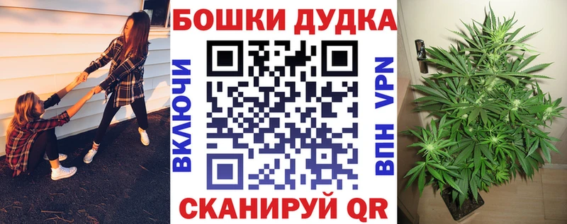 Шишки марихуана планчик Соль-Илецк