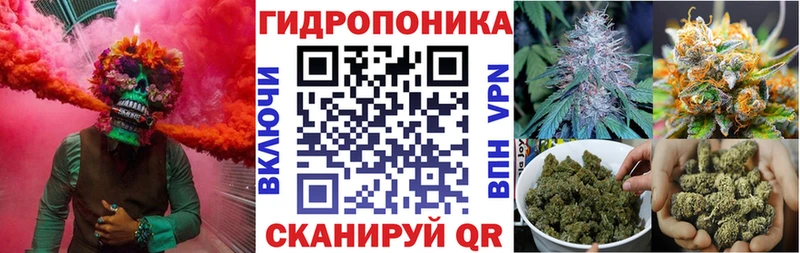 Каннабис гибрид  как найти   Соль-Илецк 